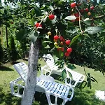 House With A Swimming Pool Villa *